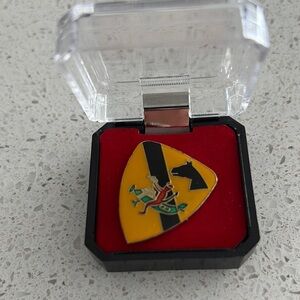 Yellow and Black Enamel Pin in Display Case
